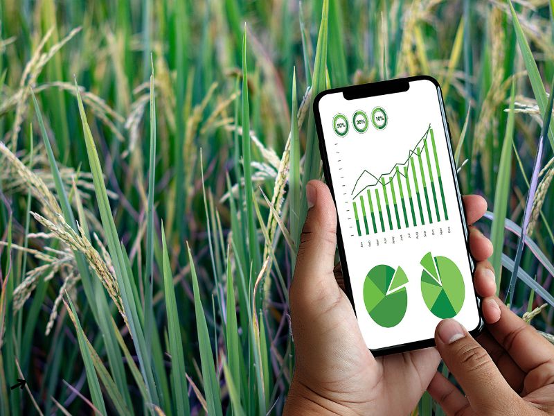 Agricultura Resiliente: Retos y Soluciones ante el Cambio Climático